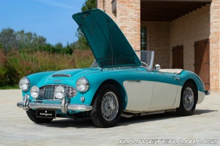 Austin 10 100/6 BN4 1957
