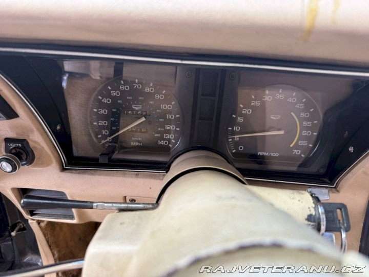 Chevrolet Ostatní modely . 1979