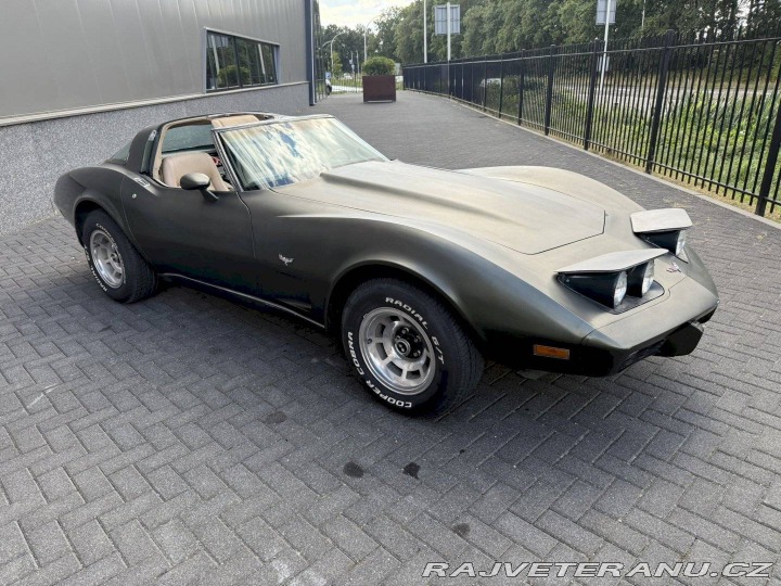 Chevrolet Ostatní modely . 1979