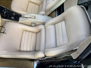 Chevrolet Ostatní modely . 1979