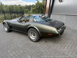 Chevrolet Ostatní modely . 1979