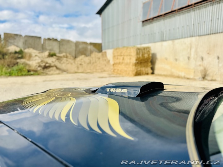 Pontiac Trans Am 1979