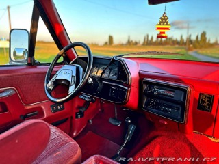 Ford F 250 7.5 V8 XLT | 4x4 1990