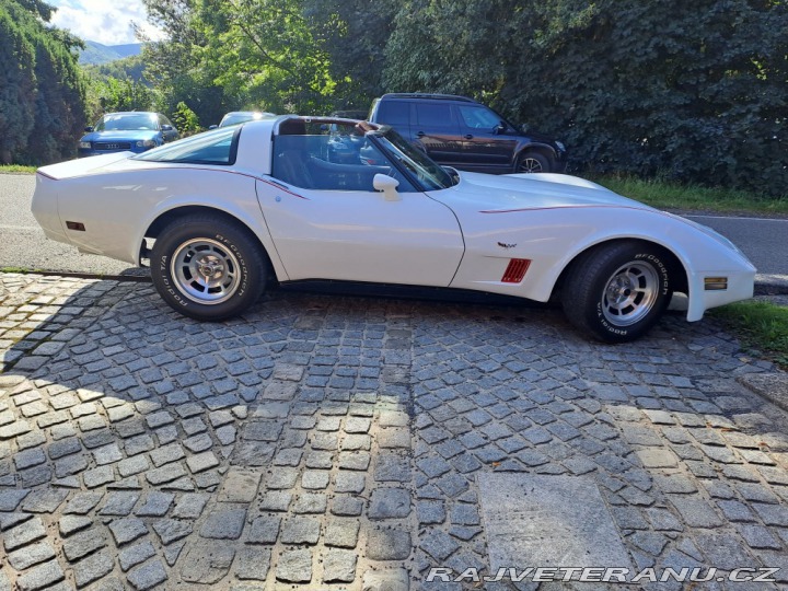 Chevrolet Corvette C3 1981