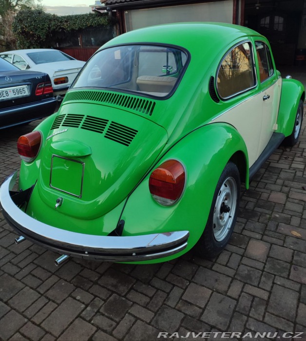 Volkswagen Brouk 1303