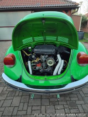 Volkswagen Brouk 1303 1974
