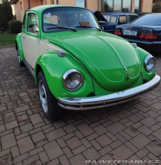 Volkswagen Brouk 1303 1974