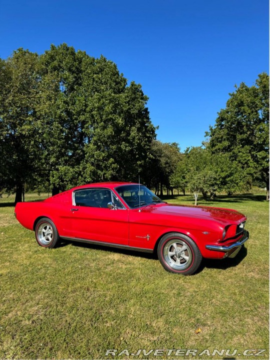 Ford Mustang Fastback 1966