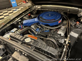 Ford Mustang Shelby GT 500 428 Cobra Jet -69 1969