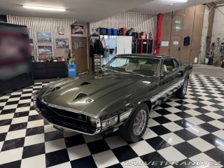 Ford Mustang Shelby GT 500 428 Cobra Jet -69 1969