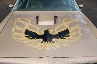 Pontiac Firebird Trans-Am 1977