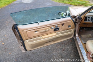 Pontiac Firebird Trans-Am 1977