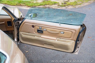 Pontiac Firebird Trans-Am 1977