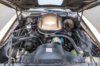Pontiac Firebird Trans-Am 1977