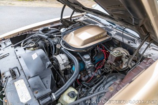 Pontiac Firebird Trans-Am 1977