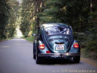 Volkswagen Brouk Beetle VW Brouk Mexiko 16 1996