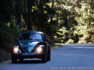 Volkswagen Brouk Beetle VW Brouk Mexiko 16 1996