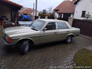 Mercedes-Benz 300 W123 1981