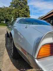 Pontiac Firebird V8 4.9 1980