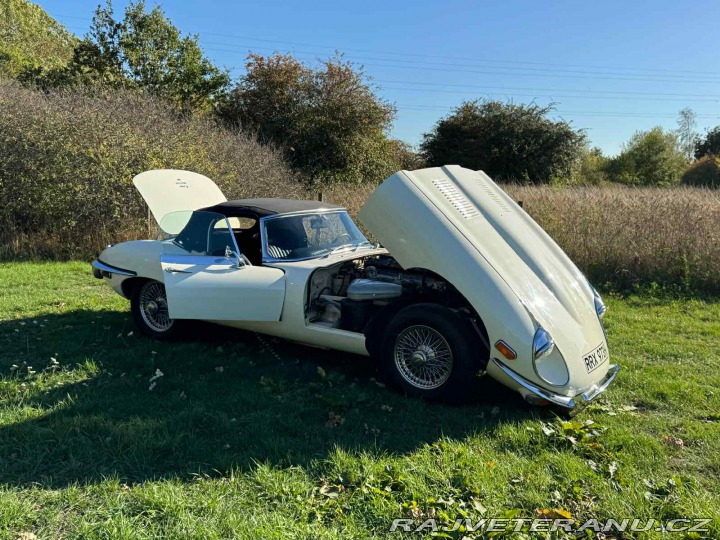 Jaguar E-Type 1969