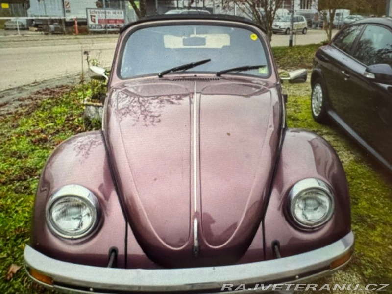 Volkswagen Brouk Brouk