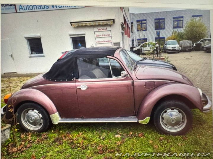 Volkswagen Brouk Brouk 1980