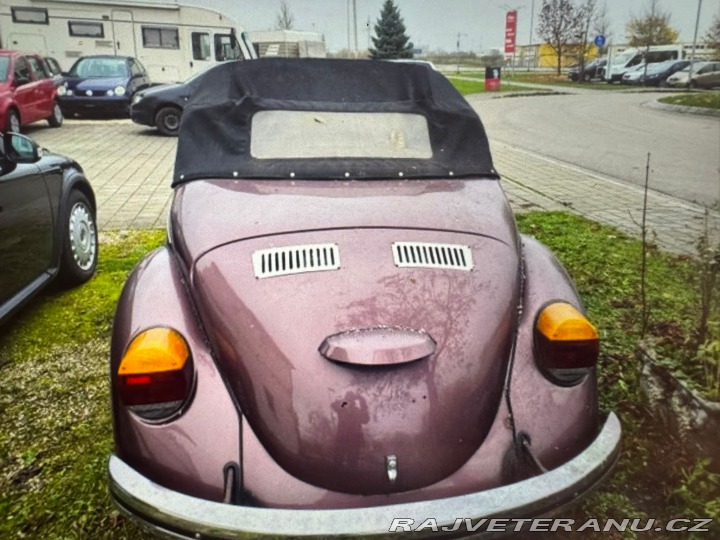 Volkswagen Brouk Brouk 1980