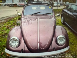 Volkswagen Brouk Brouk 1980