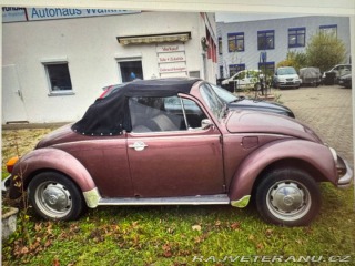Volkswagen Brouk Brouk 1980