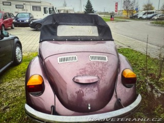 Volkswagen Brouk Brouk 1980