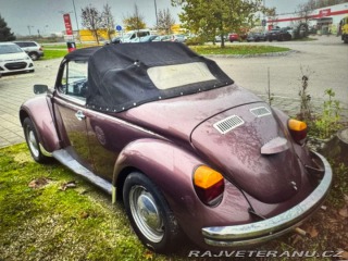 Volkswagen Brouk Brouk 1980