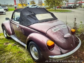 Volkswagen Brouk Brouk 1980