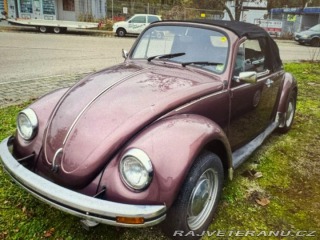 Volkswagen Brouk Brouk 1980