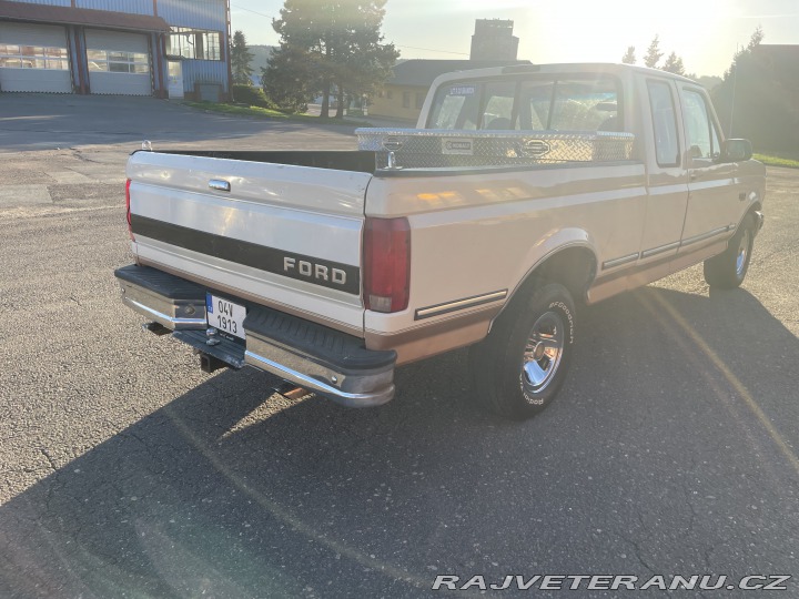 Ford F F-150 5.0L EFI V8 1993