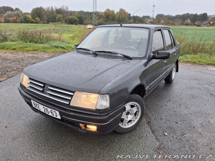 Peugeot 309 1991