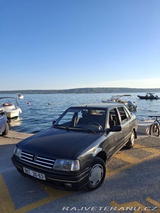Peugeot 309 1991