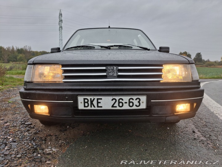 Peugeot 309  1991