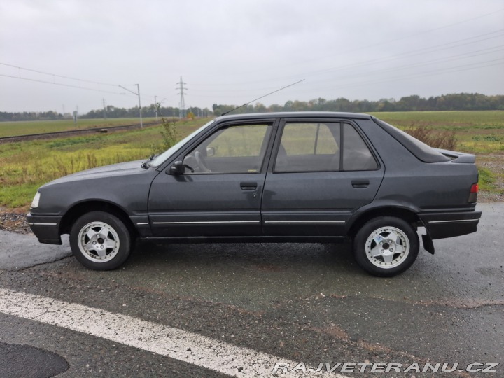 Peugeot 309  1991