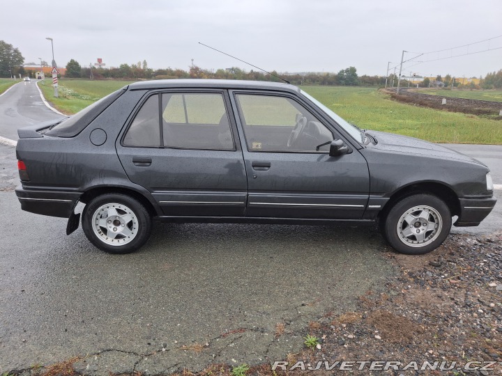 Peugeot 309  1991