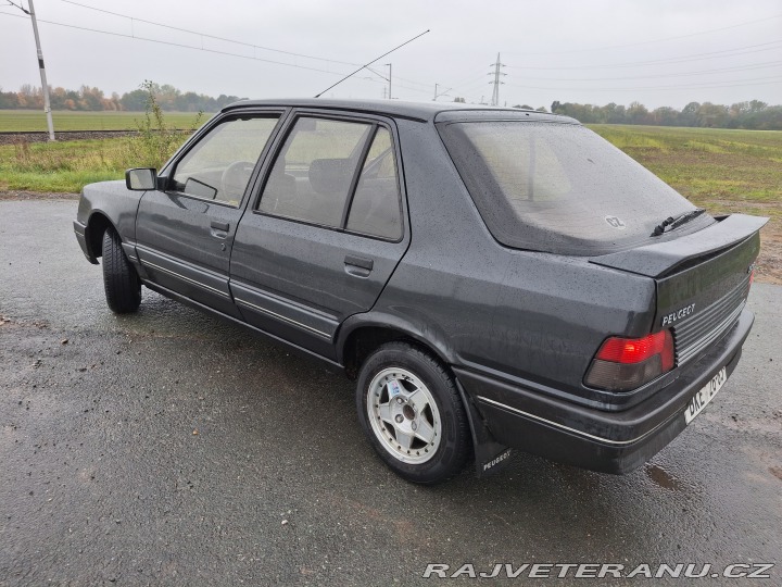 Peugeot 309  1991