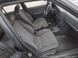 Peugeot 309  1991