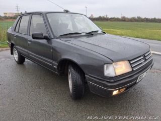 Peugeot 309  1991