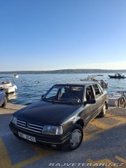Peugeot 309  1991