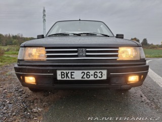 Peugeot 309  1991