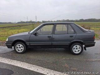 Peugeot 309  1991