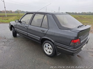 Peugeot 309  1991