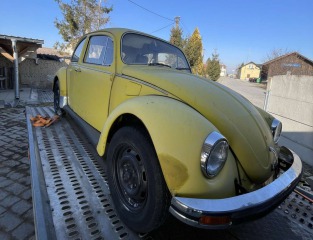 Volkswagen Brouk 11