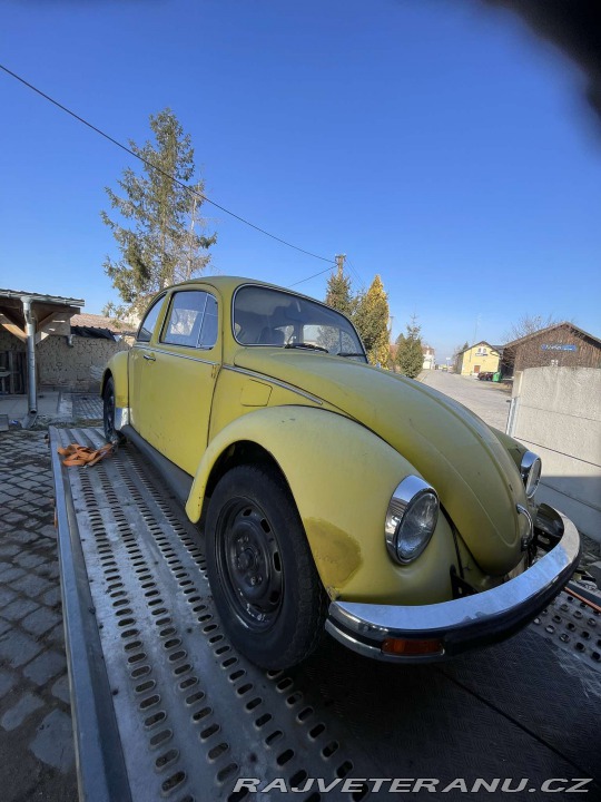 Volkswagen Brouk 11 1979