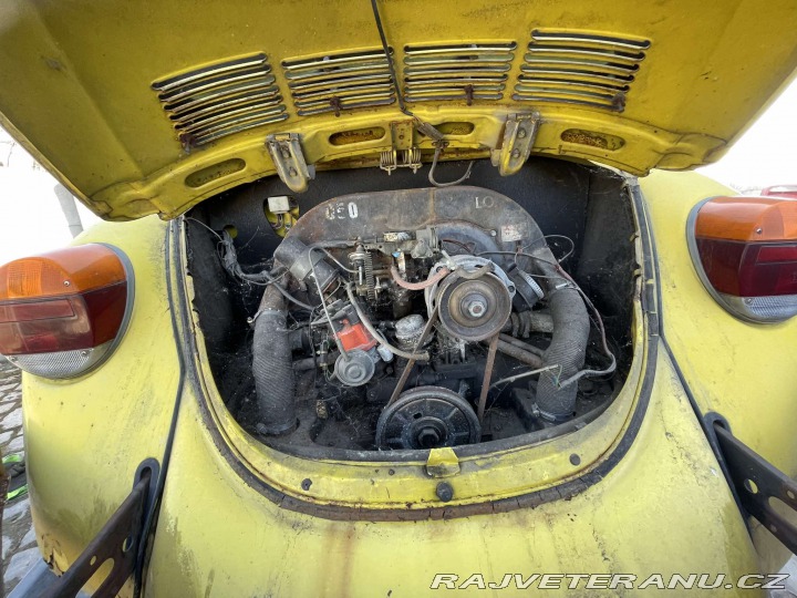 Volkswagen Brouk 11 1979