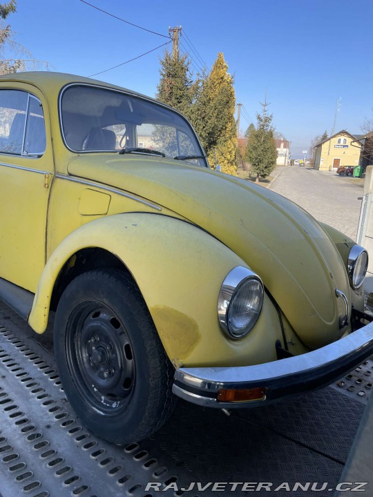 Volkswagen Brouk 11 1979